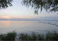A Tisza-tó szépsége